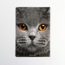 Обложка для паспорта Кот