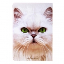 Обложка для паспорта Кошка